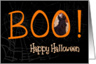 Boo! Happy Halloween - featuring a Scottish Terrier puppy card