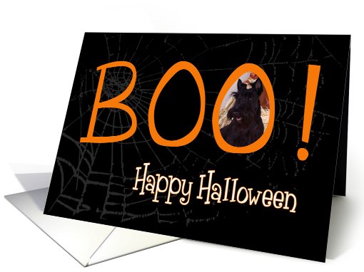 Boo! Happy Halloween - featuring a Scottish Terrier card (710242)