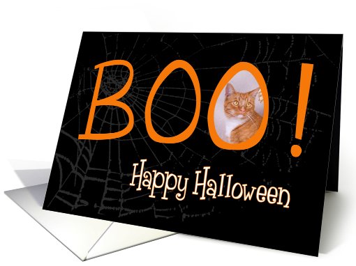 Boo! Happy Halloween - featuring an Orange Tabby cat card (710259)