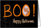 Boo! Happy Halloween - featuring an Orange Tabby cat card