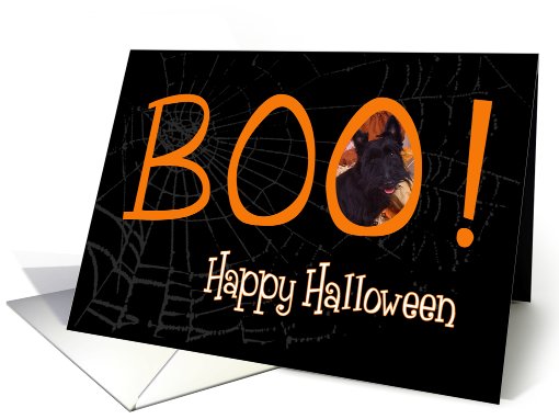 Boo! Happy Halloween - featuring a Scottish Terrier card (711034)