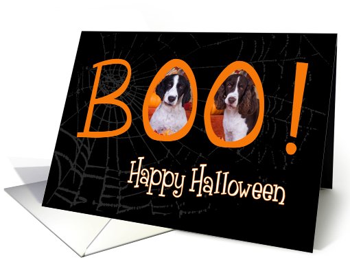 Boo! Happy Halloween - featuring English Springer Spaniels card