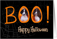 Boo! Happy Halloween - featuring English Springer Spaniels card