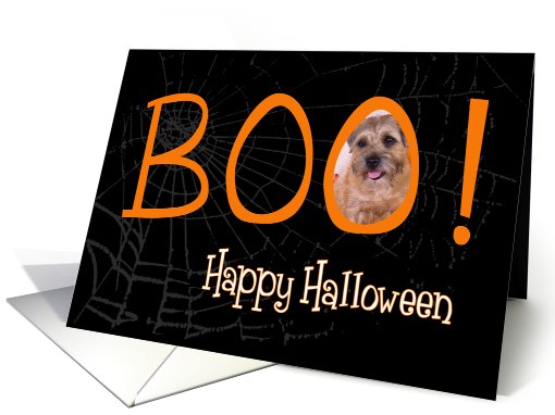 Boo! Happy Halloween - featuring Border Terrier card (711079)