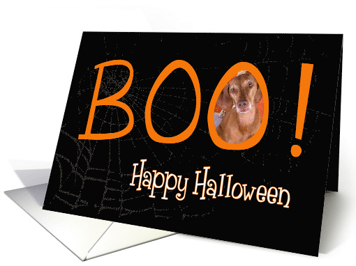 Boo! Happy Halloween - featuring Vizsla card (711405)