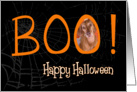 Boo! Happy Halloween - featuring Vizsla card