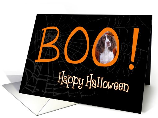 Boo! Happy Halloween - featuring English Springer Spaniel card