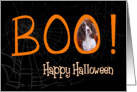 Boo! Happy Halloween - featuring English Springer Spaniel card