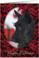 Happy Holidays - featuring Scottish Terrier Puppy card