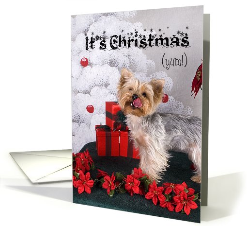 Holiday Card - featuring a Yorkshire Terrier card (728370)