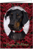 Happy Holidays - featuring a Doberman Pinscher surrounded by Poinsettias card