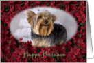 Happy Holidays - featuring a Yorkshire Terrier surrounded by Poinsettias card