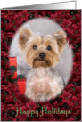 Happy Holidays - featuring a blonde Yorkshire Terrier surrounded by Poinsettias card