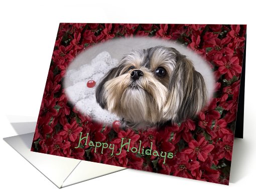 Happy Holidays - featuring a Morkie surrounded by Poinsettias card