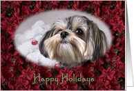 Happy Holidays - featuring a Morkie surrounded by Poinsettias card