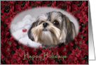 Happy Holidays - featuring a Morkie surrounded by Poinsettias card