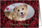 Happy Holidays - featuring a Terrier Mix surrounded by Poinsettias card