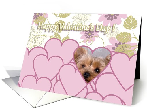 Valentine's Greeting - featuring a Yorkshire Terrier card (728751)