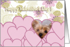 Valentine’s Greeting - featuring a Yorkshire Terrier card