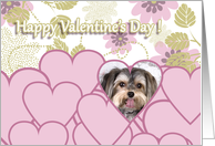 Valentine’s Greeting - featuring a Morkie card