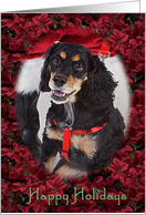 Happy Holidays - featuring an American Cocker Spaniel surrounded by Poinsettias card