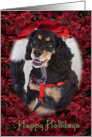 Happy Holidays - featuring an American Cocker Spaniel surrounded by Poinsettias card