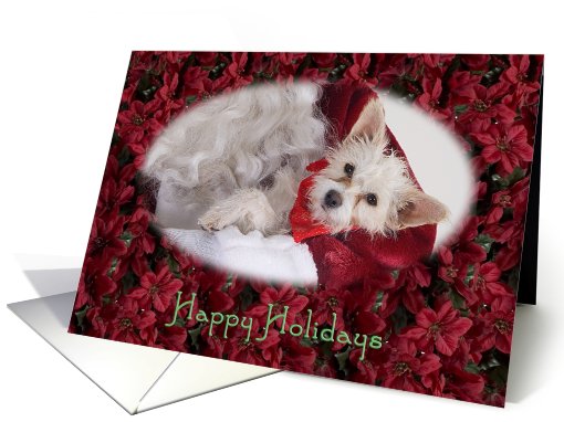 Happy Holidays - featuring Terrier Mix surrounded by Poinsettias card