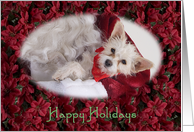 Happy Holidays - featuring Terrier Mix surrounded by Poinsettias card