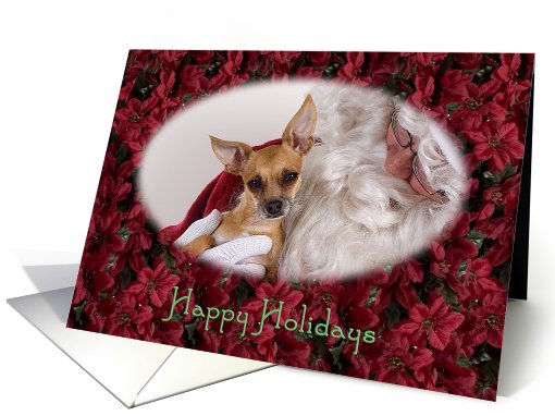 Happy Holidays - featuring a Chihuahua with Santa... (735997)