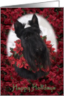 Happy Holidays - featuring a Scottish Terrier surrounded by Poinsettias card