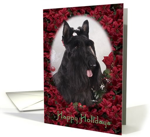 Happy Holidays - featuring a Scottish Terrier surrounded... (737446)
