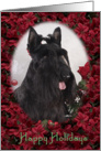 Happy Holidays - featuring a Scottish Terrier surrounded by Poinsettias card