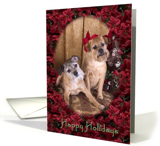 Happy Holidays - featuring two Border Terriers surrounded... (738408)