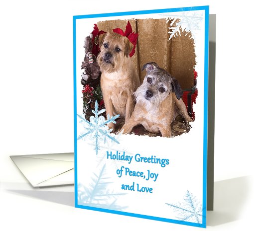Holiday Greeting - featuring two Border Terriers card (738410)