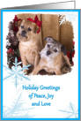 Holiday Greeting - featuring two Border Terriers card