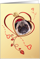 Valentine’s Greeting - featuring a Pug surrounded by hearts and a white rose card