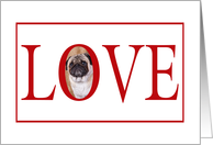 Valentine’s Love Greeting - featuring a Pug card