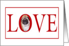 Valentine’s Love Greeting - featuring a Pug card