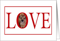 Valentine’s Love Greeting - featuring a Border Terrier card