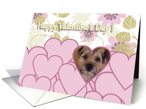 Valentine's Greeting - featuring a Border Terrier... (738786)