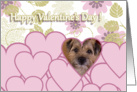 Valentine’s Greeting - featuring a Border Terrier surrounded by flowers and hearts card