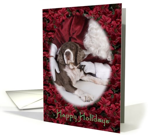 Happy Holidays - featuring an English Springer Spaniel... (738796)