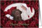 Happy Holidays - featuring a chocolate Labrador Retriever with Santa surrounded by Poinsettias card