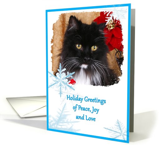 Holiday Greeting Card - featuring a Cat surrounded by blue... (742920)