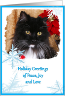 Holiday Greeting Card - featuring a Cat surrounded by blue snowflakes card
