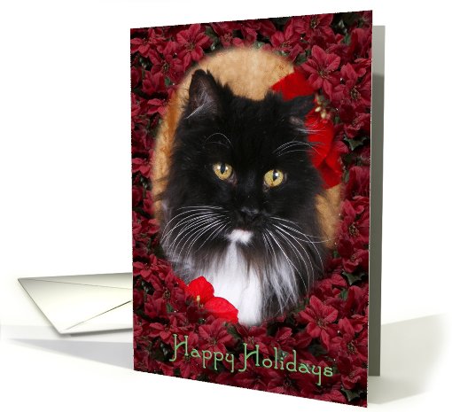 Happy Holidays - featuring a Cat surrounded by Poinsettias card
