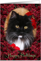 Happy Holidays - featuring a Cat surrounded by Poinsettias card