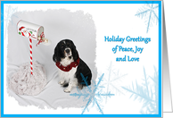 Holiday Greetings, English Springer Spaniel surrounded by blue snowflakes card