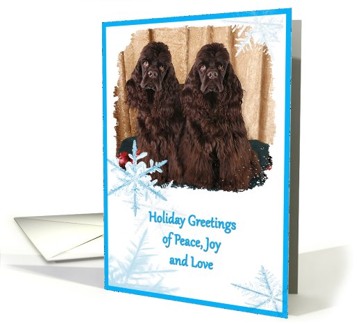 Holiday Greetings, two chocolate American Cocker Spaniels... (751800)