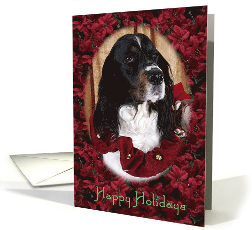 Happy Holidays - featuring an English Springer Spaniel... (751804)
